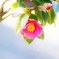 花時間