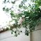 DSC00843