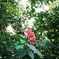 DSC00850