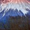 夕富士