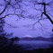 元箱根の富士山