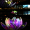 グラングリーン大阪の花