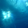 海中。