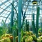 植物園