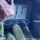 2.7_12℃LL%曇り空から暖の光は乏しく連夜フル防寒手袋ニット帽クマも前ボケ
