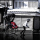 Kyoto snap 9