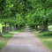 英国の公園にて