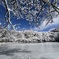 雪景