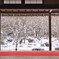 冬の圓光寺庭園