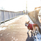 愛犬とお散歩