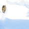 雪の道しるべ*