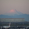 尾翼と富士山