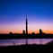夕暮れ時のシルエット（荒川河川敷_スカイツリー方面）