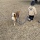 お疲れ様！