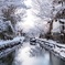 雪の八幡堀　その４