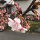 早春