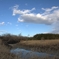 川面の雲