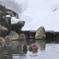何年振りかの大雪の中の露天風呂