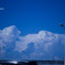 夏空