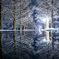 mirror