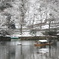 雪景色と屋形船 #2
