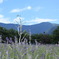 rabennda-