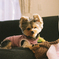 犬