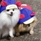 Chip&Pino★
