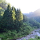 Good Morning, Miyama