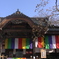 ＠吉祥寺