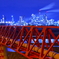 夜のプラントⅢ