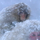 雪国に生きるということ