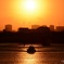 今井橋の夕日：煌めく川面