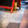 alley cat 4