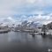 伊吹山麓の雪化粧