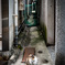 alley cat 6