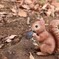 なに食べてるの？