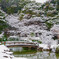雪景色