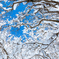 _MG_0280-2