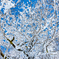 _MG_0551-2