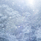 雪の日の幻想