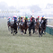東京競馬場に雪が降る①