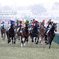 東京競馬場に雪が降る②