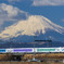 Wonderful Dreams Shinkansen