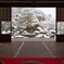 冬の「雪の庭」(南)