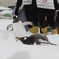 おたる水族館