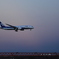 boeing787　夕暮れlanding