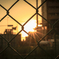夕暮れ