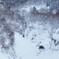 冬景１