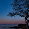 観音崎の夕暮れ